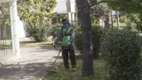 5017268744245414659 (1)