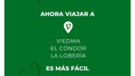 WhatsApp Image 2025-12-12 at 13.03.37