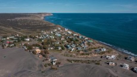 WhatsApp Image 2026-01-21 at 10.37.32